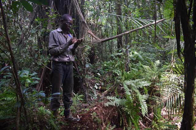 A reasercher cataloguing Congo peat swamp